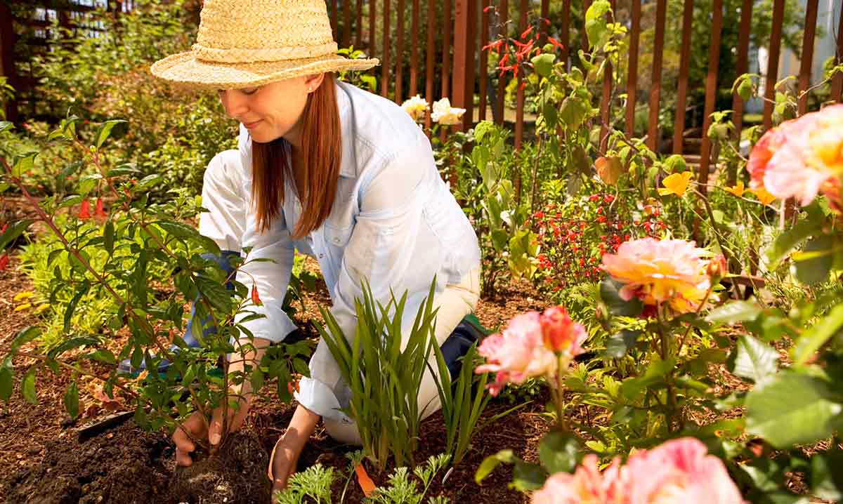 Online Gardening Classes